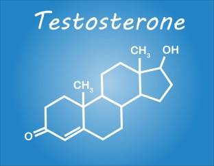 Testosteron-1024x800.jpg